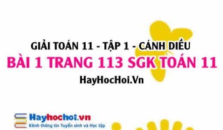 Giải bài 1 trang 113 SGK Toán 11 tập 1 Cánh Diều